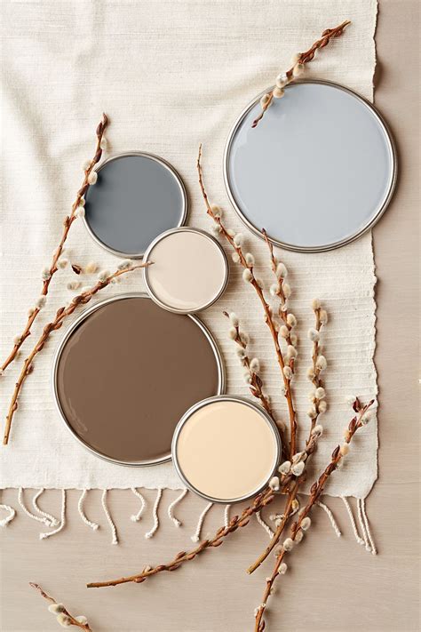 Nature Inspired Color Palettes For A Calm Beautiful Home Brown Color Palette Interior