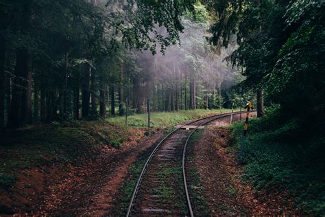 Gray Train Tracks Forest Nature Railway Trees Hd Wallpaper