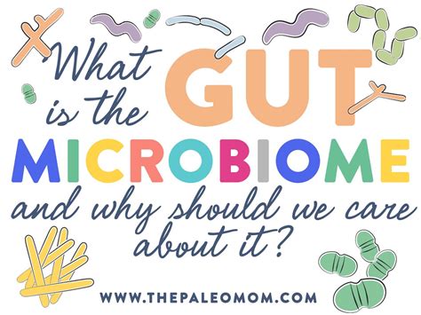 What Is The Gut Microbiome And Why Should We Care About It Gut