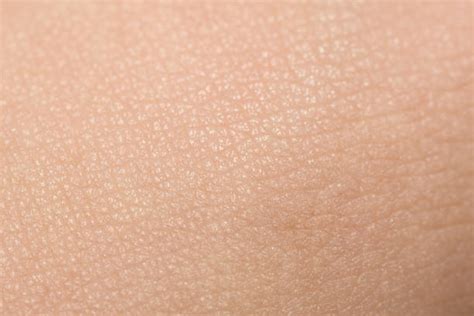 Skin Texture Stock Photos Pictures And Royalty Free Images Istock
