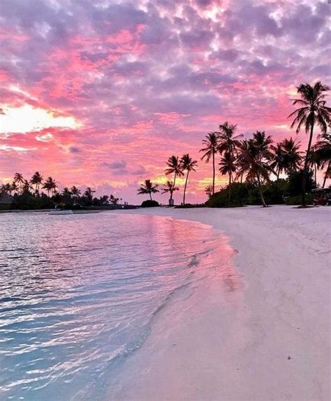 Maldives Fondos De Pantalla Palmeras Fondos De Pantalla Playas