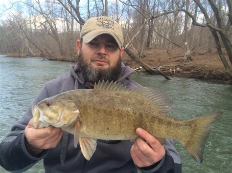 Top 5 Rivers For Smallmouth Bass Action Everything Smallmouth