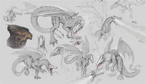 Dragon Character Sketches P1 By Icydoor On Deviantart