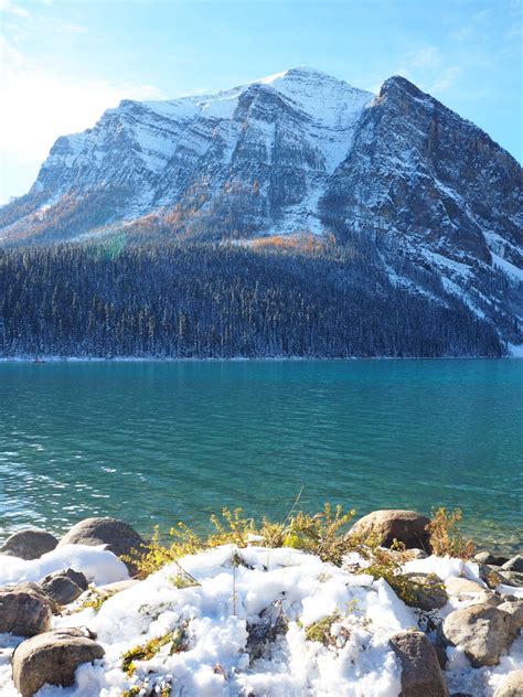 A Snowy Day Around Lake Louise In The Canadian Rockies Tiny Travelogue