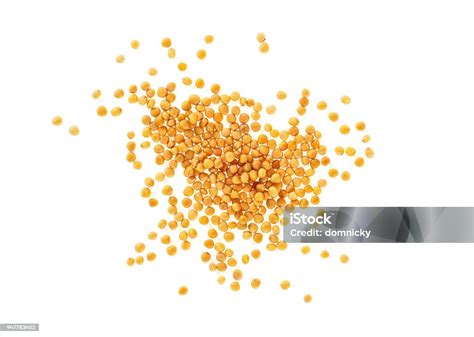 Yellow Mustard Seeds Isolated On White Background Stock Photo