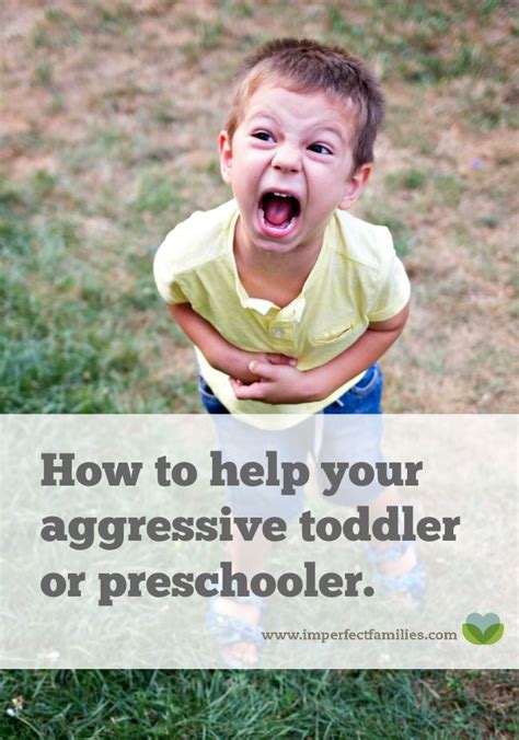 How To Help Your Aggressive Toddler Or Preschooler Aggressive Toddler