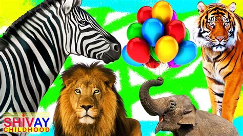 Learning Wild Animals For Kids Learning Animals Name And