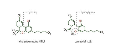 Cbd Chemical Structure Cbd Oil New Daily