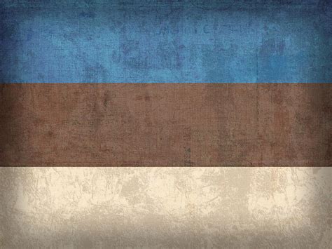 Estonia Flag Vintage Distressed Finish Mixed Media By Design Turnpike