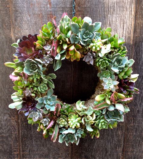 How To Make A Succulent Wreath My 100 Year Old Home How To Make A