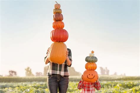 Autumn Captions Puns We Are FALL Ing Over Scentsy Blog