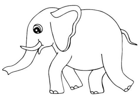 √ 20 Sketsa Gambar Hewan Gajah Yang Mudah Di Warnai Untuk Paud Tk Sd