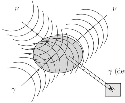 Diagram Of The Neutrino Photon Scattering ν γ → ν γ Of Spatially