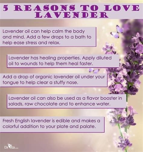 5 More Reasons To Love Lavender Infographic Health Lavender