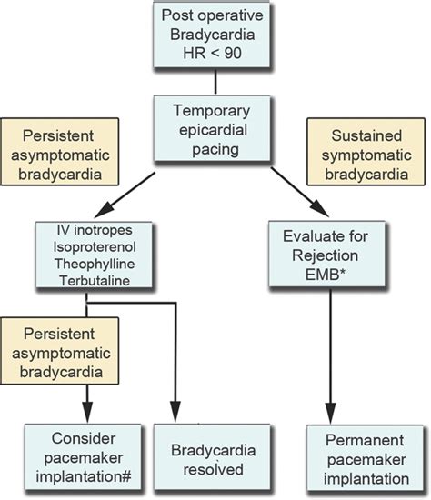 And even with bradycardia, you may never notice any symptoms or need treatment. Management of postoperative bradycardia. EMB indicates ...