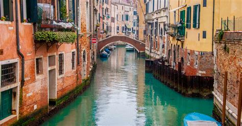 Supuesto regreso de animales a canales de Venecia es falso, según