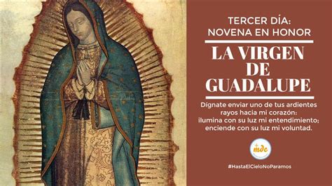 Novena A La Virgen De Guadalupe Día 3 》 La Luz De La Religión