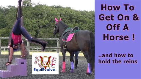 How To Mount A Horse Hold The Reins And How To Dismount Youtube