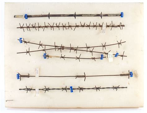 Wwi Military Barbed Wire Display Ct Firearms Auction