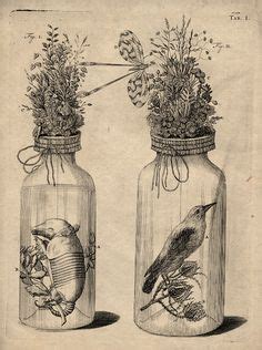 He is known for developing techniques for preserving anatomical specimens, which he used to create dioramas or scenes incorporating human parts. 1000+ images about Frederik Ruysch on Pinterest | Peter the great, Dioramas and Anatomy