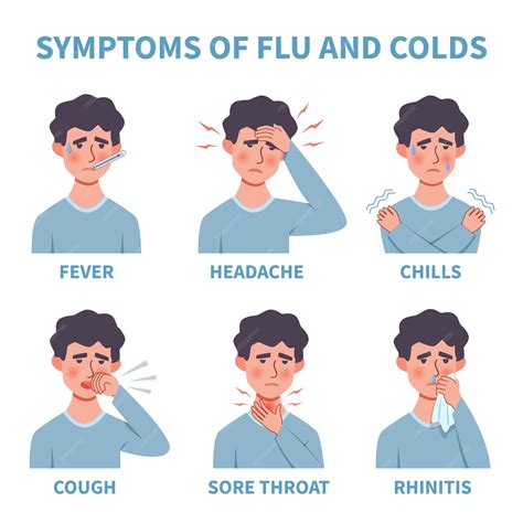 Premium Vector Flu Symptoms Common Cold And Flu Symptoms