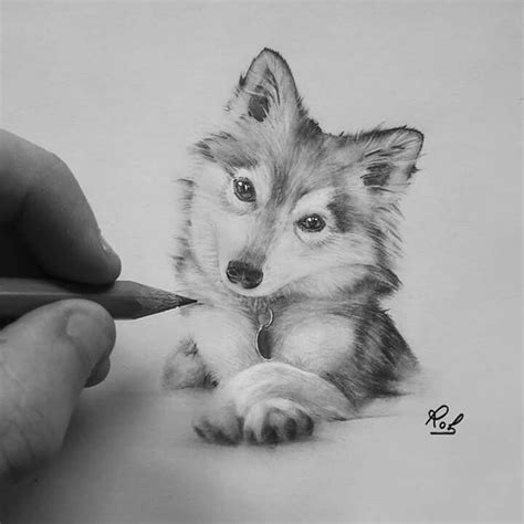 Pin By Pinky On Drawing Animal Drawings Pencil Drawings Of Animals