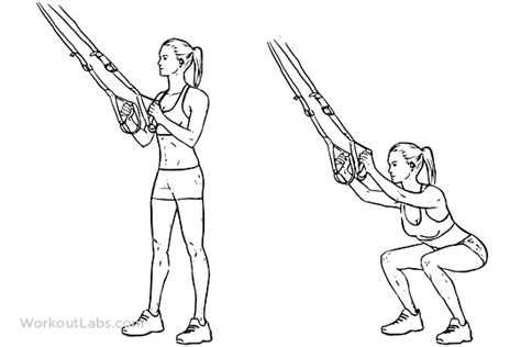 Suspension Straps Squat Illustrated Exercise Guide Workoutlabs