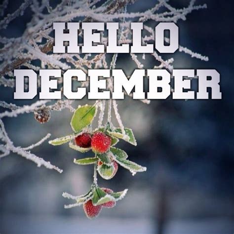 Hello December Hello December Hello December Images Happy December