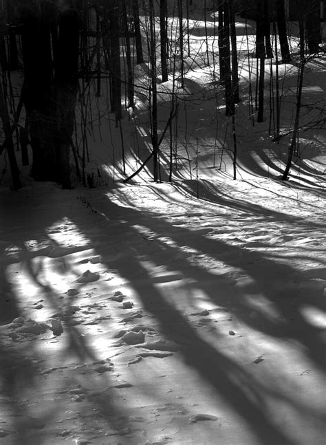 Late Afternoon Shadows On Snow Ludlowvt 12 08 Grant Stephens Flickr