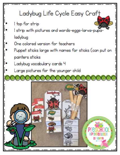 Ladybug Life Cycle Easy Craft ~ Preschool Printables