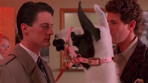 twin peaks 7 things you probably didn t know — geektyrant