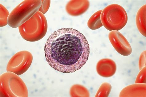 Lymphocyte Surrounded By Red Blood Cells Stock Illustration