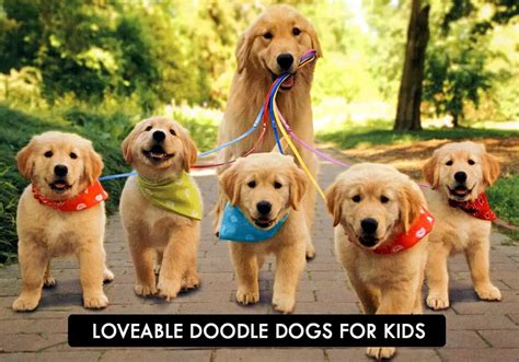 7 Best Pets For Kids What Are Good Pets For Kids