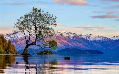 How You Can Help Protect New Zealands Instagram Famous Lake Wanaka