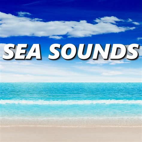 Official website of 'the honest. Calm Sea Sounds on Spotify