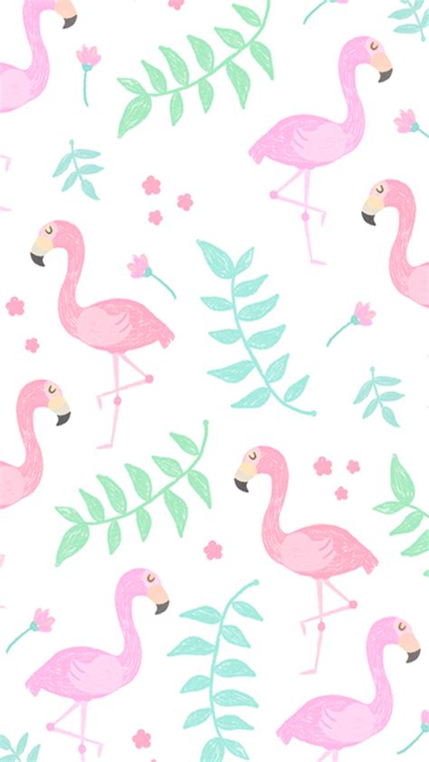 Cartoon Flamingo Wallpapers Top Free Cartoon Flamingo Backgrounds