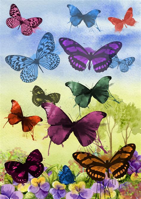 Watercolor Butterflies Art Free Stock Photo Public Domain Pictures