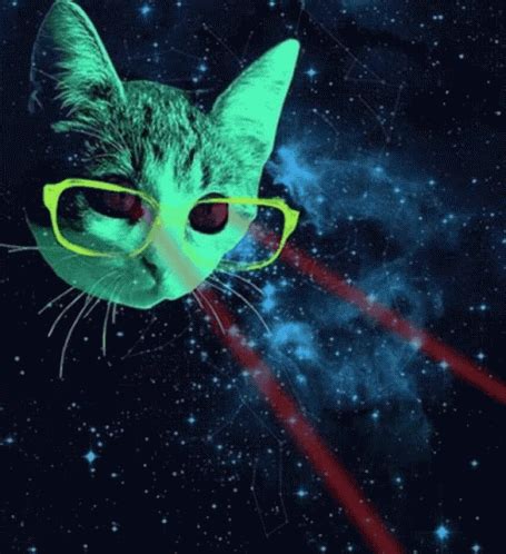 Cat Laser GIF Cat Laser Meme War GIF 탐색 및 공유