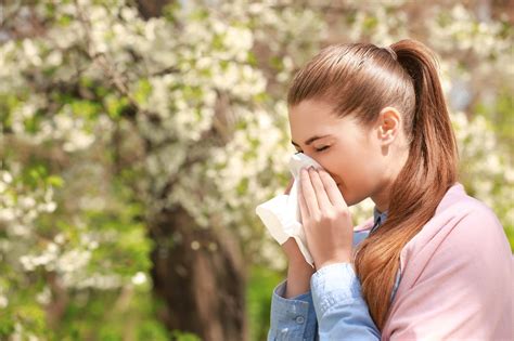 Alergias En Verano ¿cuáles Son Las Más Comunes Y Cómo Tratarlas