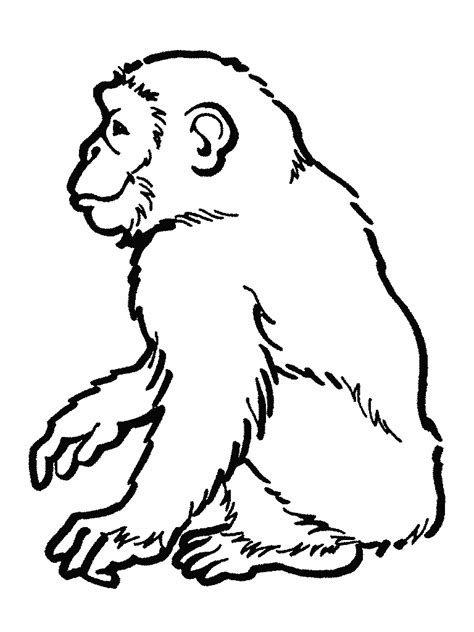 Download nu deze cartoon monkey black white vectorillustratie. Monkey Outline - Clipartion.com