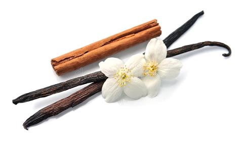 Vanilla Stick And Cinnamon Sticks Stock Photo Image Of Nature Plant