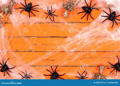 Halloween Frame With Skeletons And Spider Webs On Orange Wood Stock