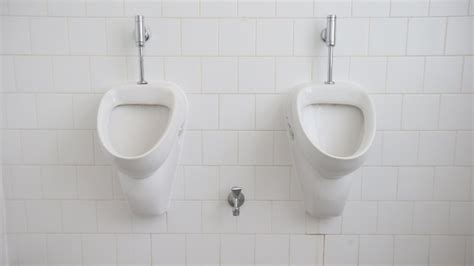 11 Different Types Of Urinals You Should Be Familiar With