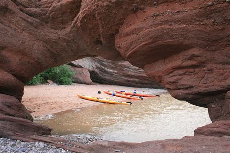 It is a corporation, based in new york, that outsources to dealers and businesses to sell their pools nationwide. kayak new brunswick - Ryder Walker