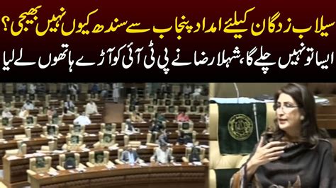 ppp leader shehla raza raise imp questions on pti in sindh assembly pakistan news capital tv