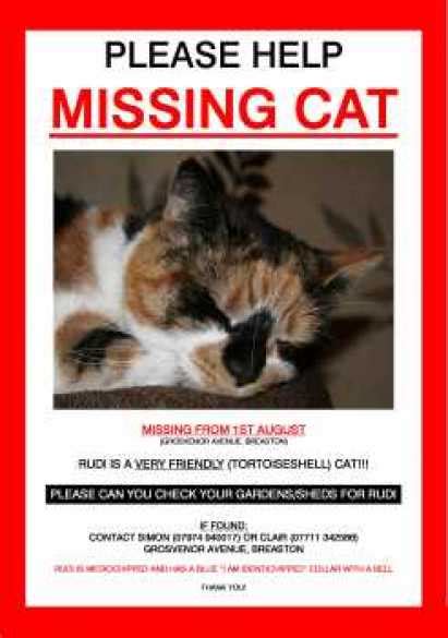 21 Free Missing Cat Poster Template Word Excel Formats