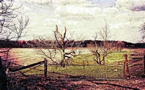 Vintage Landscape Photograph By Debbie Nobile Pixels