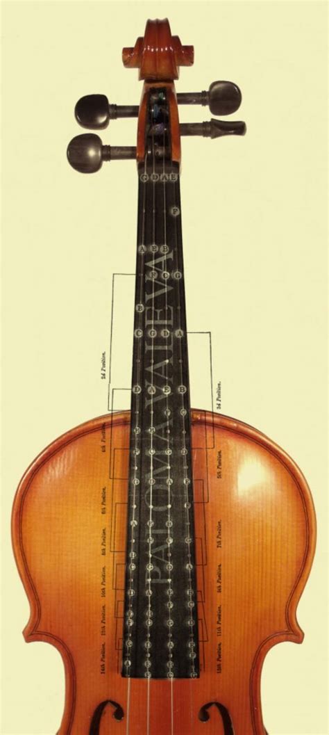 In a weak position.a vulnerable position (=a situation in which you might be harmed)today we are in the vulnerable position of producing barely half our own food.the present/current positionthe. All the Violin Positions and scheme - Paloma Valeva