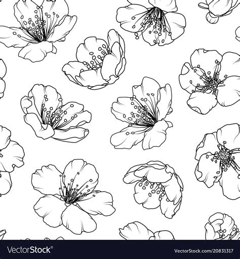 Cherry Sakura Blossom Floral Seamless Pattern Vector Image Floral
