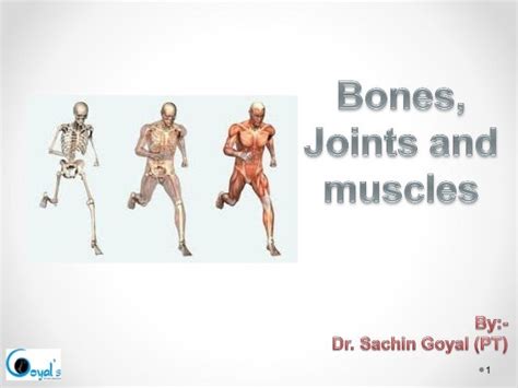 Bonesjoints Ppt